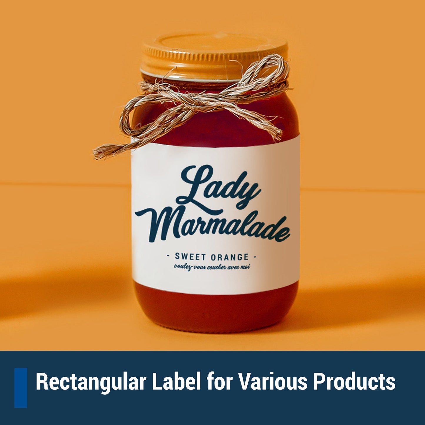 4 x 2 inch Rectangle Labels: 10UP Blank, White Matte (10 per Sheet)