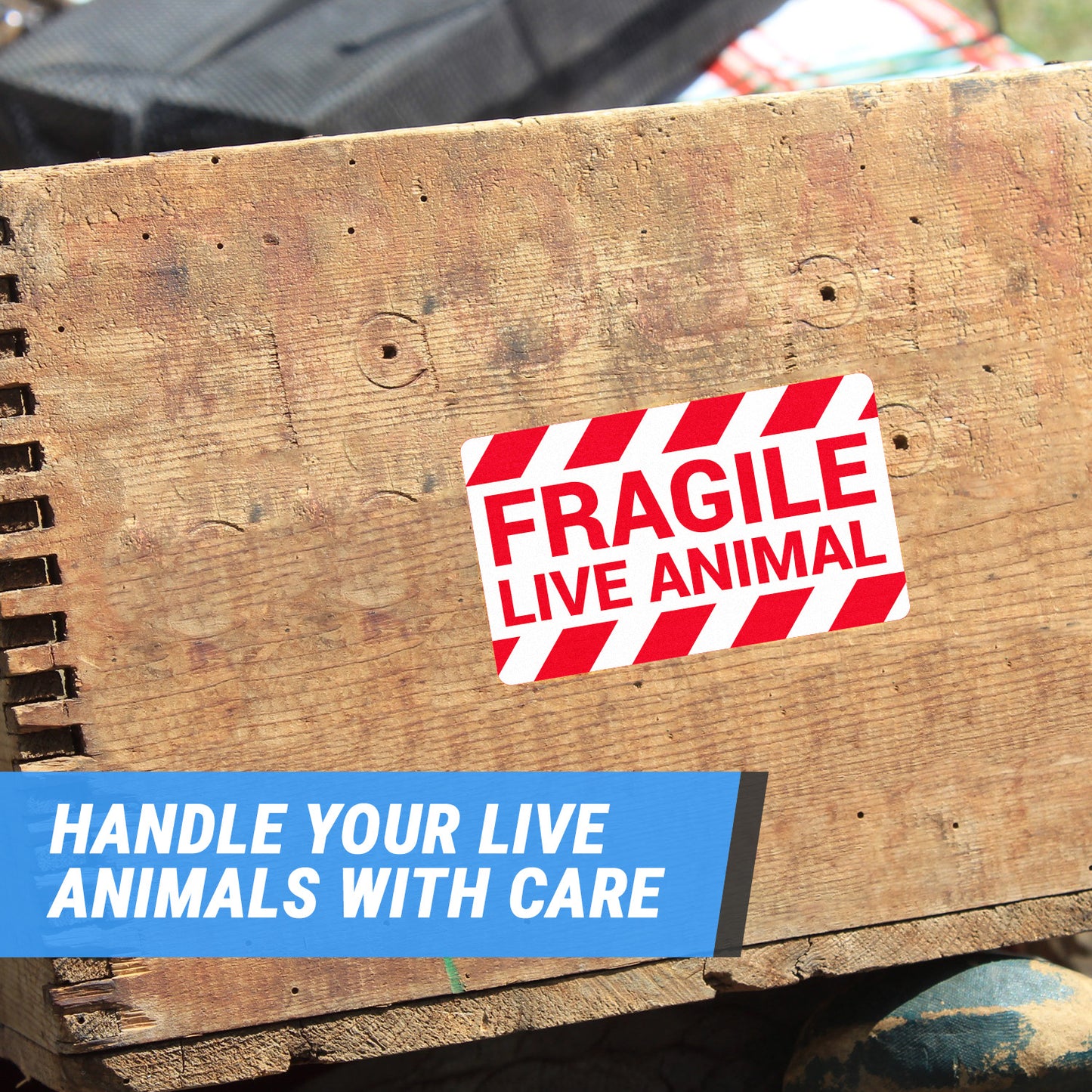 5 x 3in Stickers: Fragile Live Animals Labels