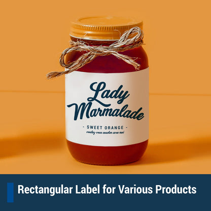 4 x 2 inch Rectangle Labels: 10UP Blank, White Matte (10 per Sheet)