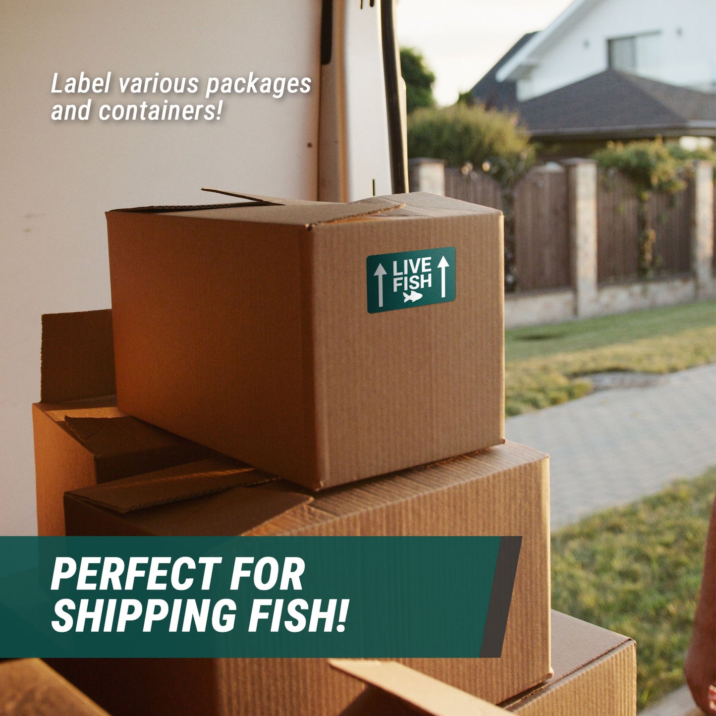 5 x 3in Stickers: Live Fish This Side Up Shipping Labels