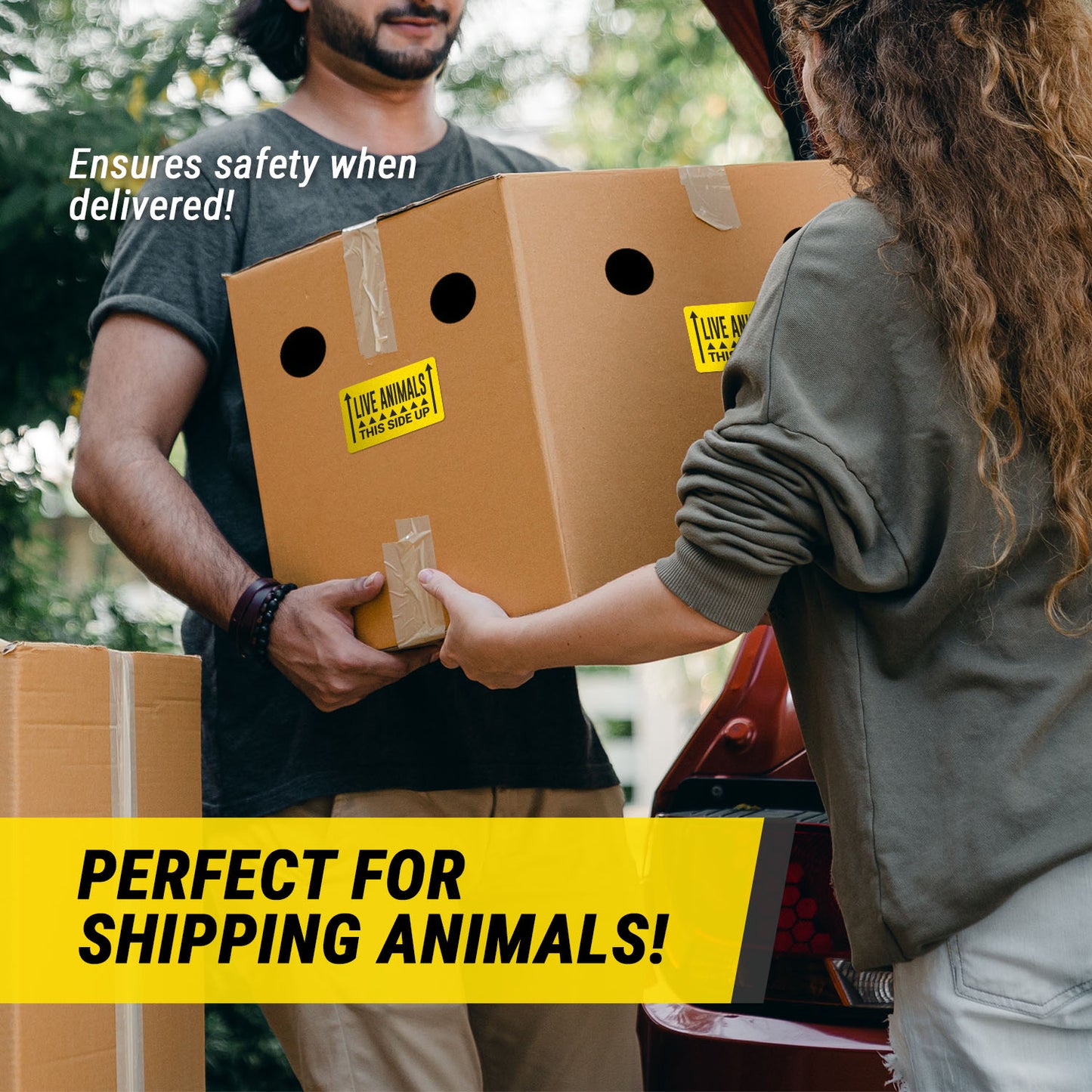 3 x 2in Stickers: Live Animals This Side Up Shipping Labels (Yellow)