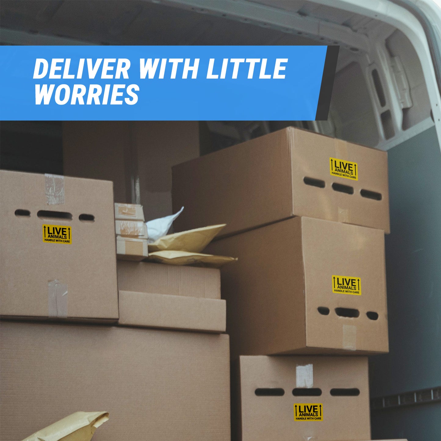 3 x 2in Stickers: Live Animals Handle With Care Shipping Labels (Yellow)