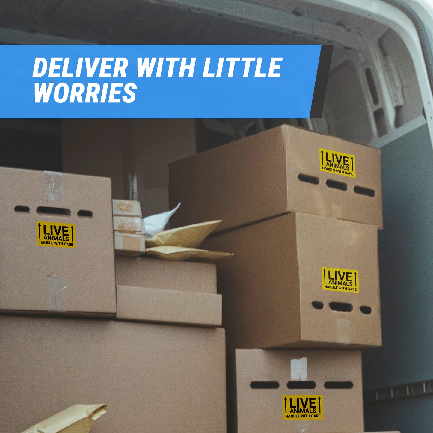 5 x 3in Stickers: Handle with Care Live Animals Labels