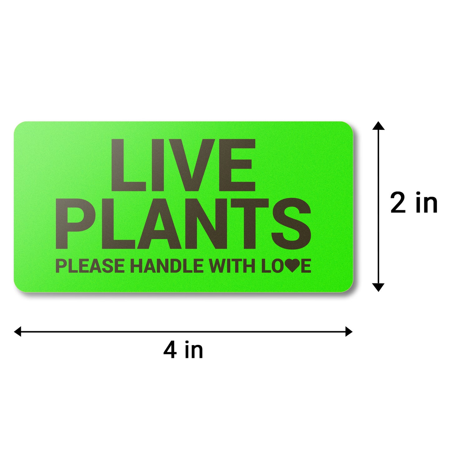 4 x 2in Stickers: Please Handle with Love Live Plants Label Roll (Green)