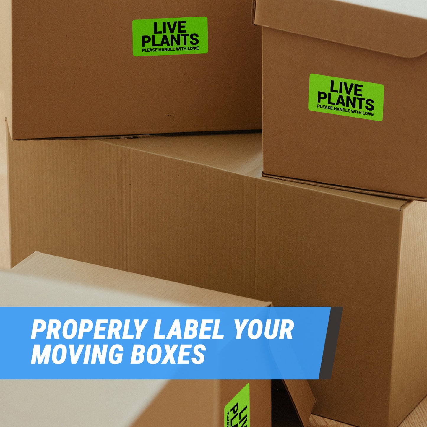 4 x 2in Stickers: Please Handle with Love Live Plants Label Roll (Green)