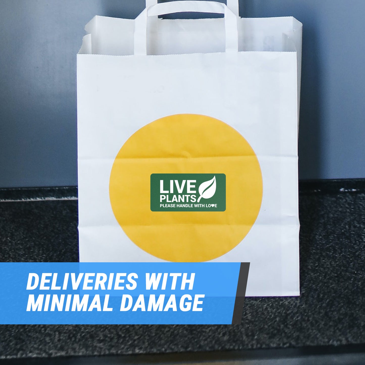 4 x 2in Stickers: Live Plants Please Handle with Love Labels