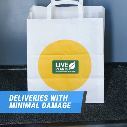 4 x 2in Stickers: Live Plants Please Handle with Love Labels