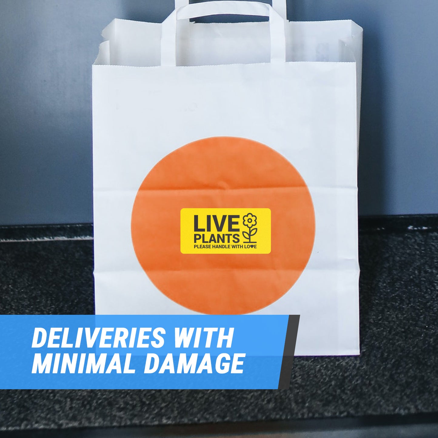 4 x 2in Stickers: Live Plants Please Handle with Love Labels (Yellow)