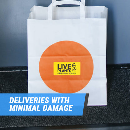 4 x 2in Stickers: Live Plants Please Handle with Love Labels (Yellow)