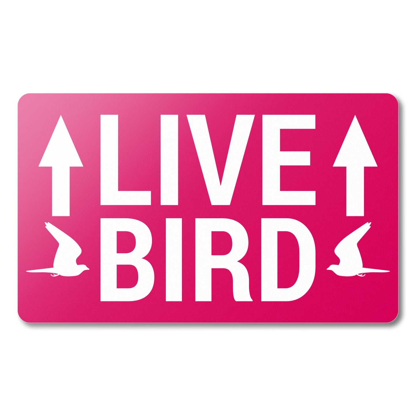 5 x 3in Stickers: Live Bird This Side Up Labels (Red)