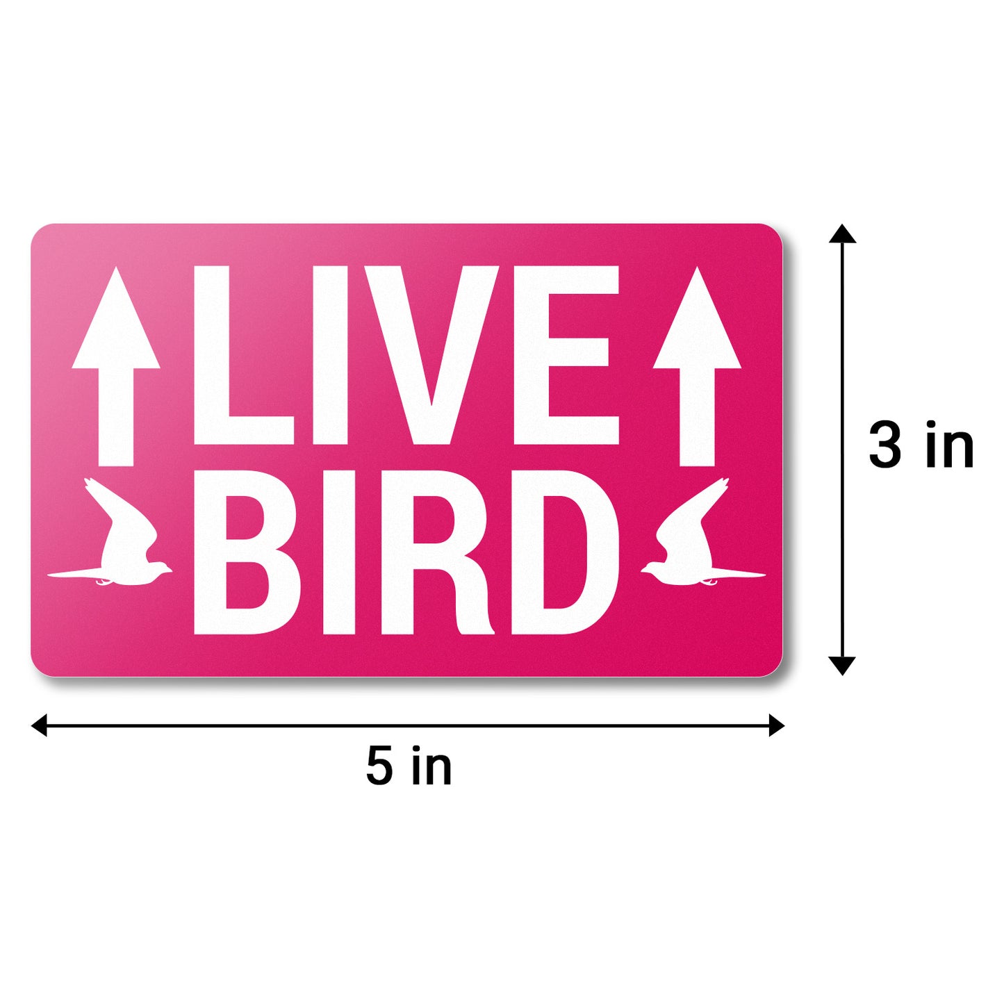 5 x 3in Stickers: Live Bird This Side Up Labels (Red)