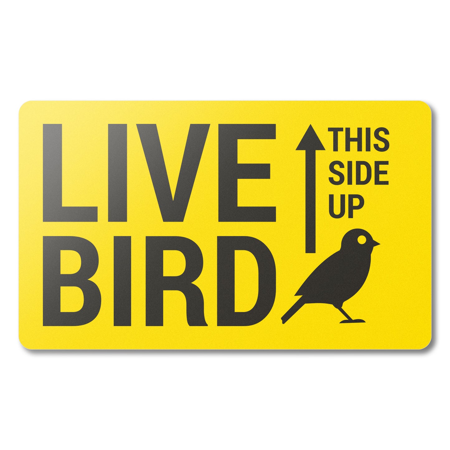 5 x 3in Stickers: Live Bird This Side Up Labels (Yellow)