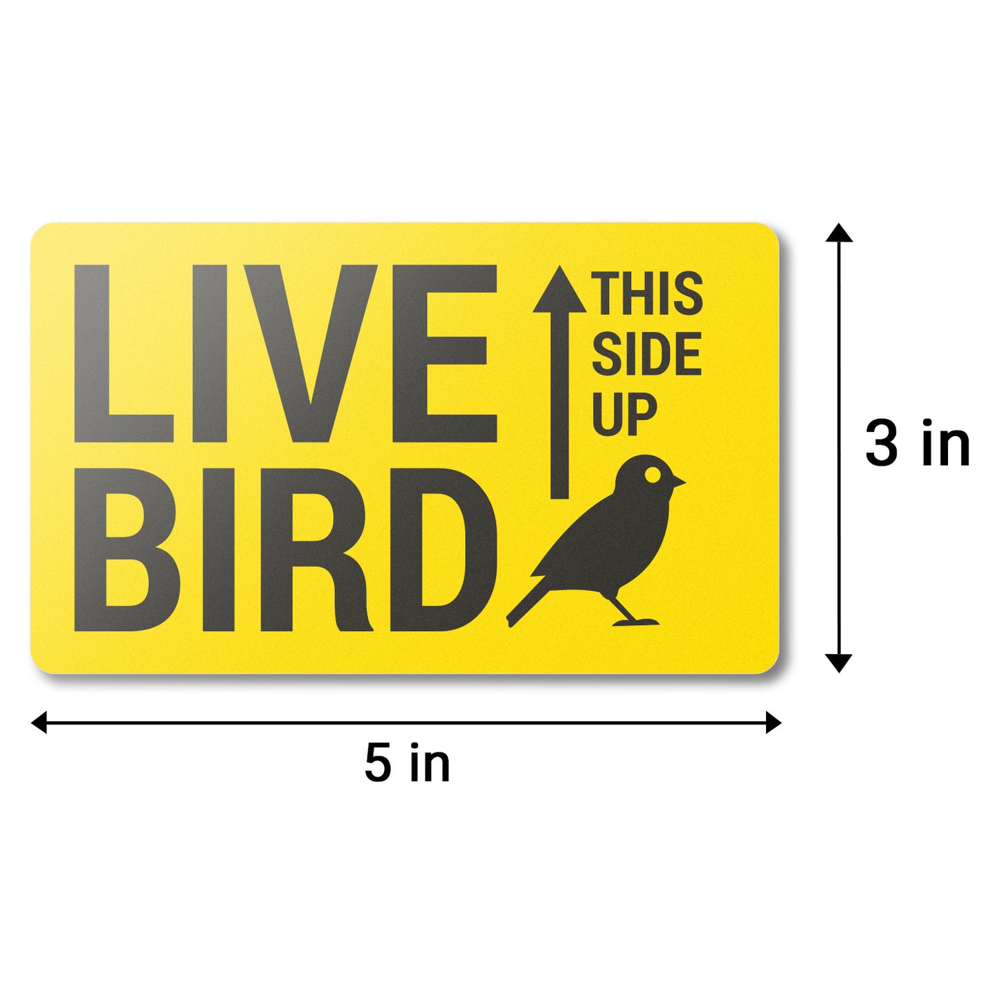 5 x 3in Stickers: Live Bird This Side Up Labels (Yellow)