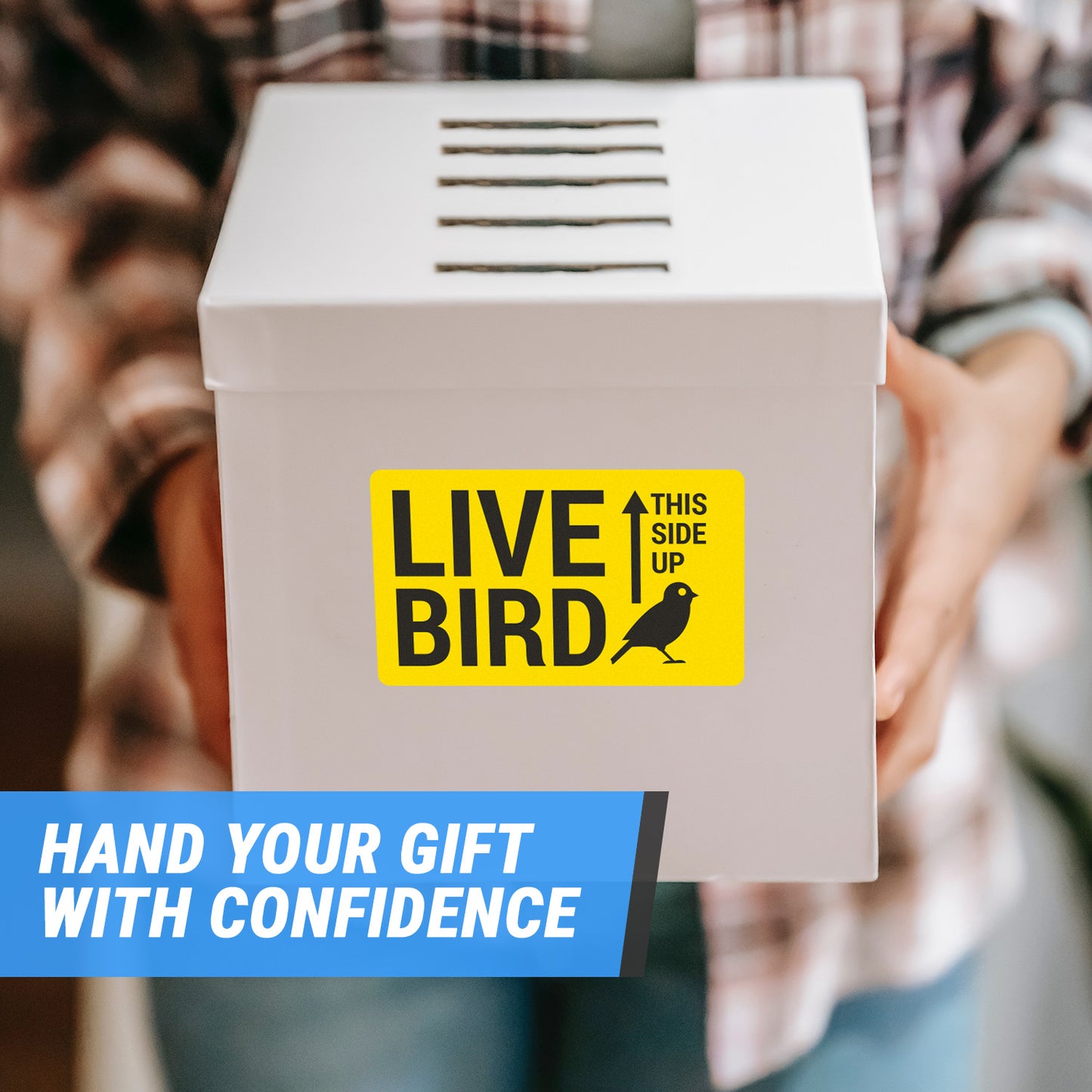5 x 3in Stickers: Live Bird This Side Up Labels (Yellow)