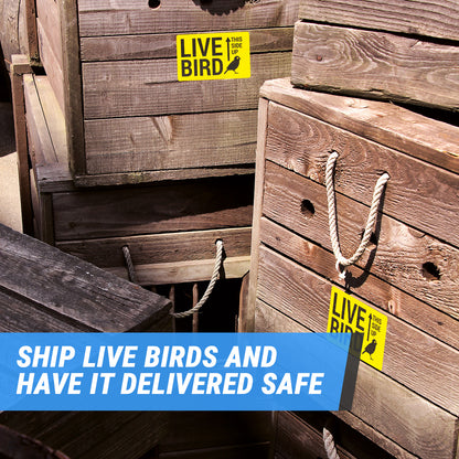 5 x 3in Stickers: Live Bird This Side Up Labels (Yellow)