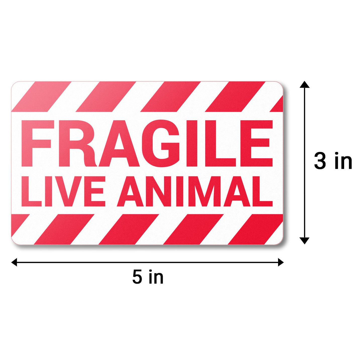 5 x 3in Stickers: Fragile Live Animals Labels