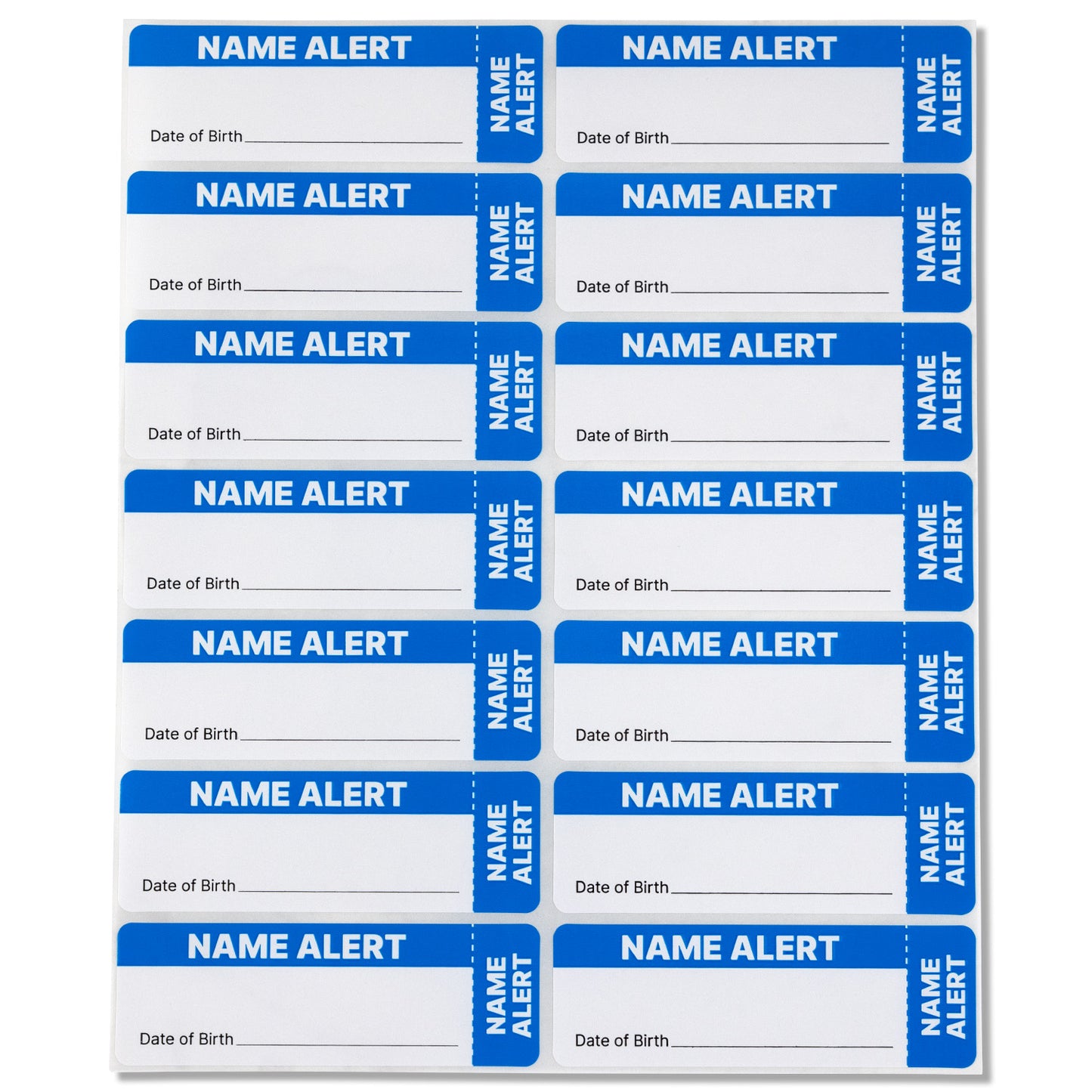 3 x 1in Stickers: Blue & White Name Alert File Folder Labels