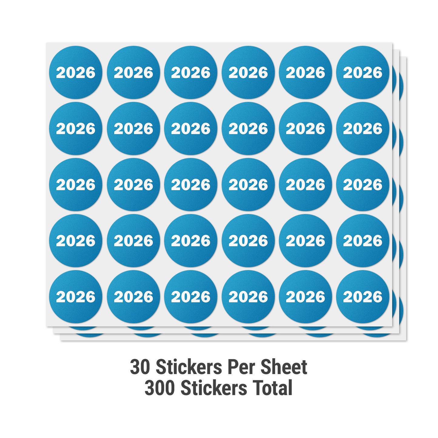 0.75in 2026 Year Label Blue (Sheet)