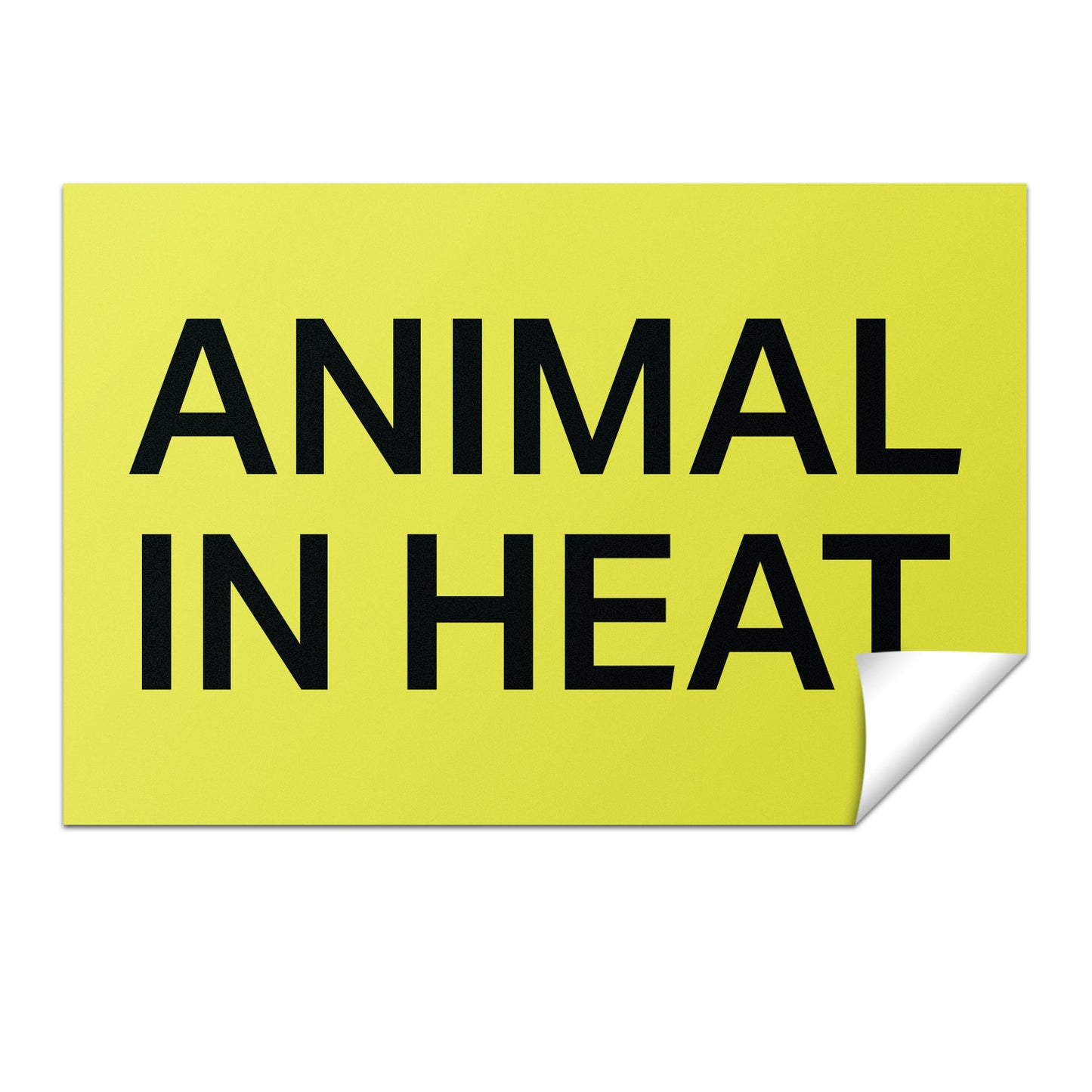 1.5 inch Pet Label: Animal in Heat Sticker (600 pcs)