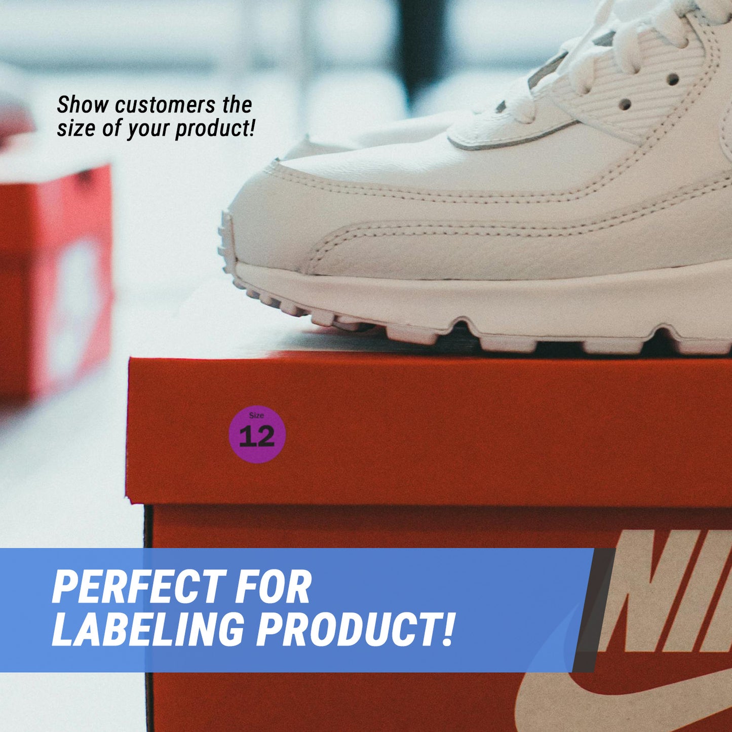 0.75in Sticker: Size 12 Clothing & Footwear Label Pack