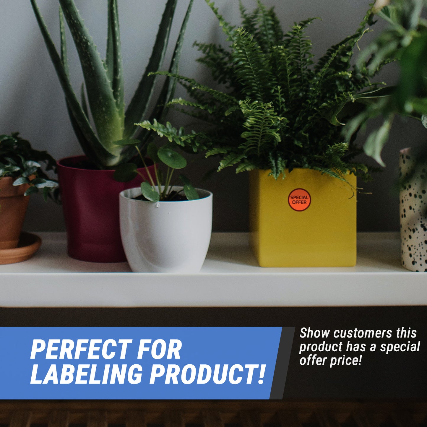 1.5in Sticker: Special Offer Retail Label RollRoll