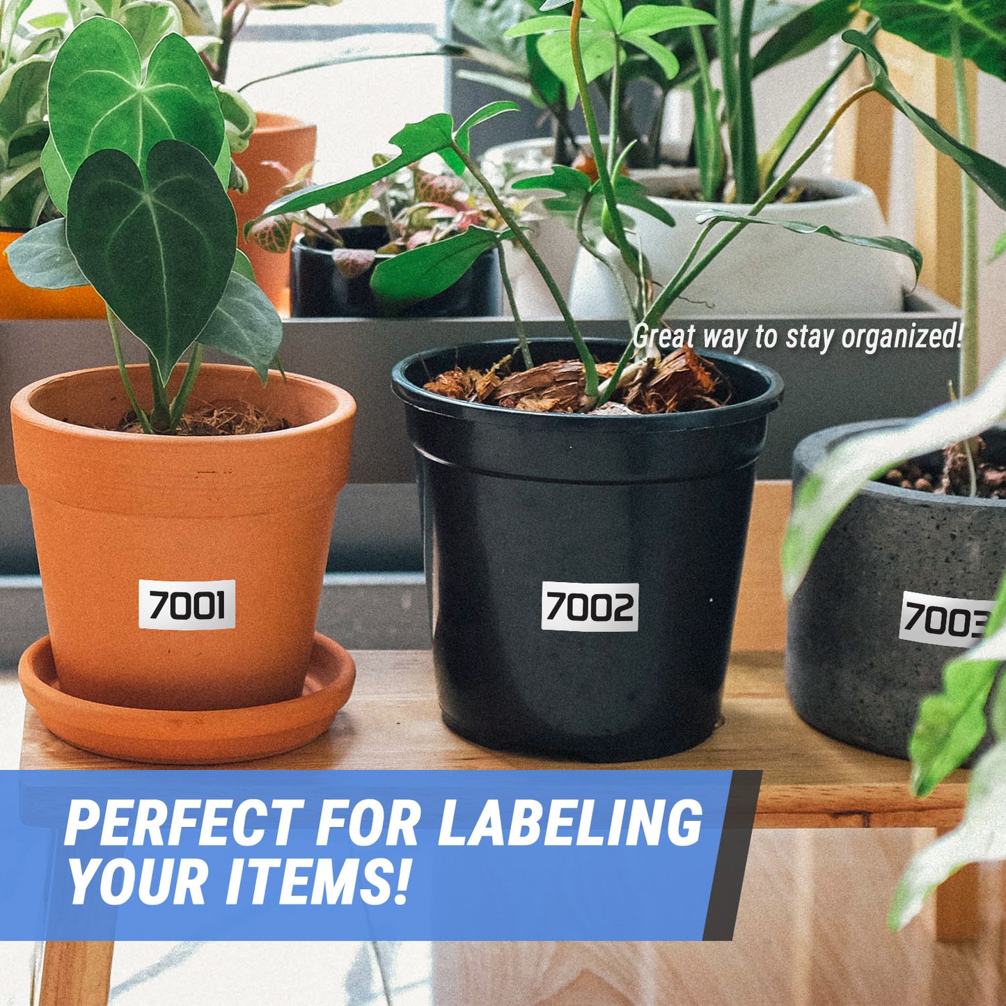 3 x 1.5 inch Consecutive Numbers 7001 to 8000 Stickers (Roll)