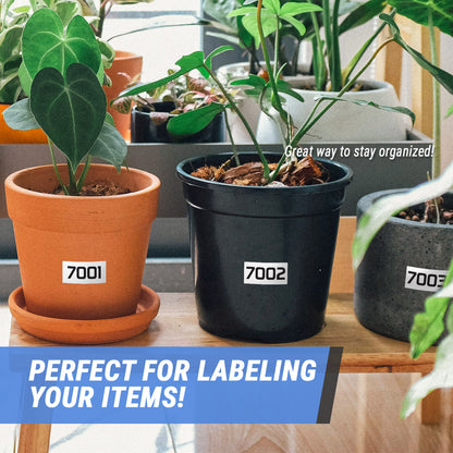 3 x 1.5 inch Consecutive Numbers 7001 to 8000 Stickers (Roll)