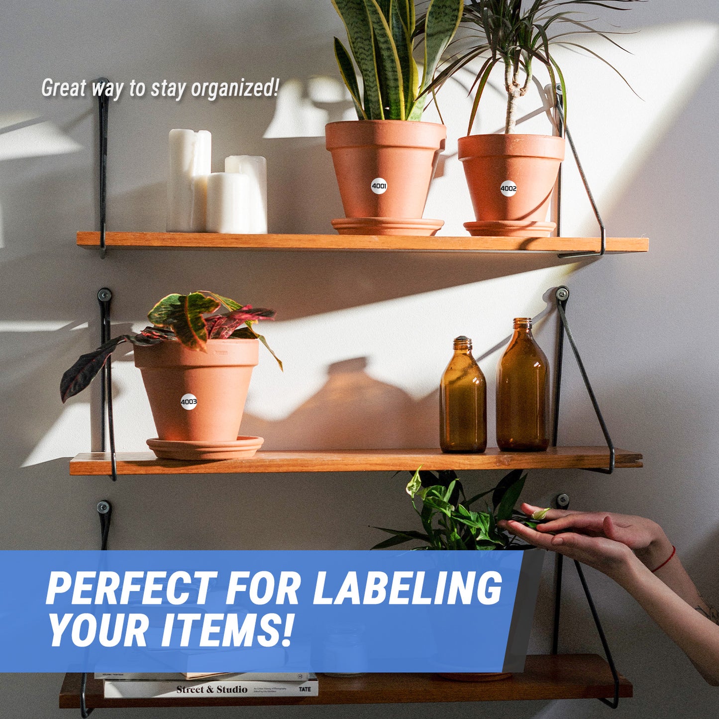 1in Sticker: Consecutive Numbers 4001 to 5000 Label Roll