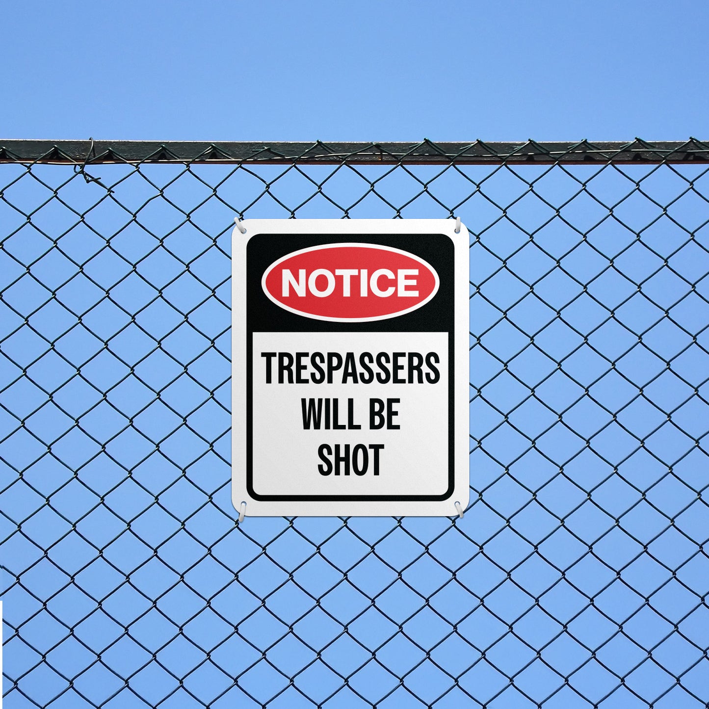 8 x 10in Warning Sign: Trespassers Will Be Shot Notice