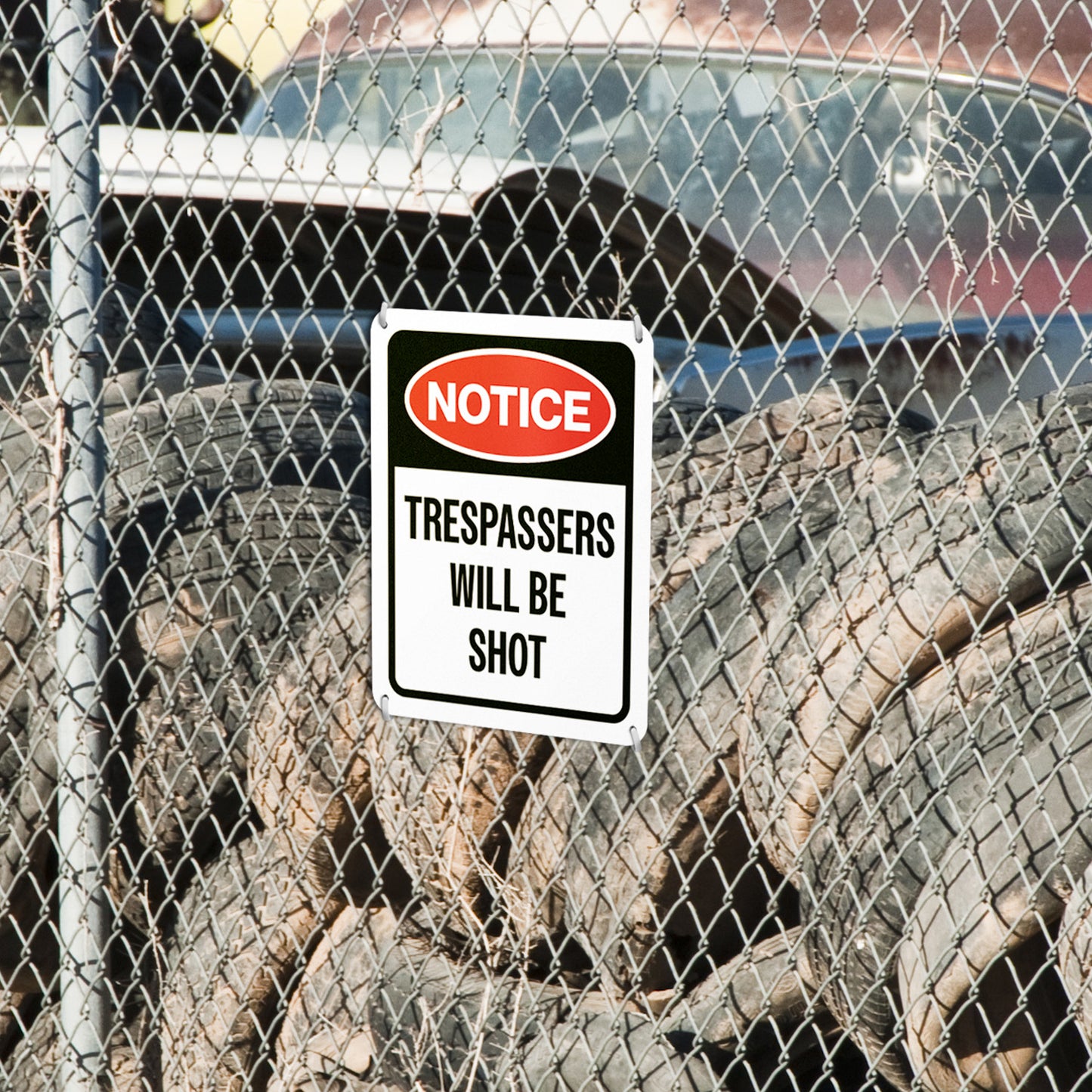 8 x 10in Warning Sign: Trespassers Will Be Shot Notice