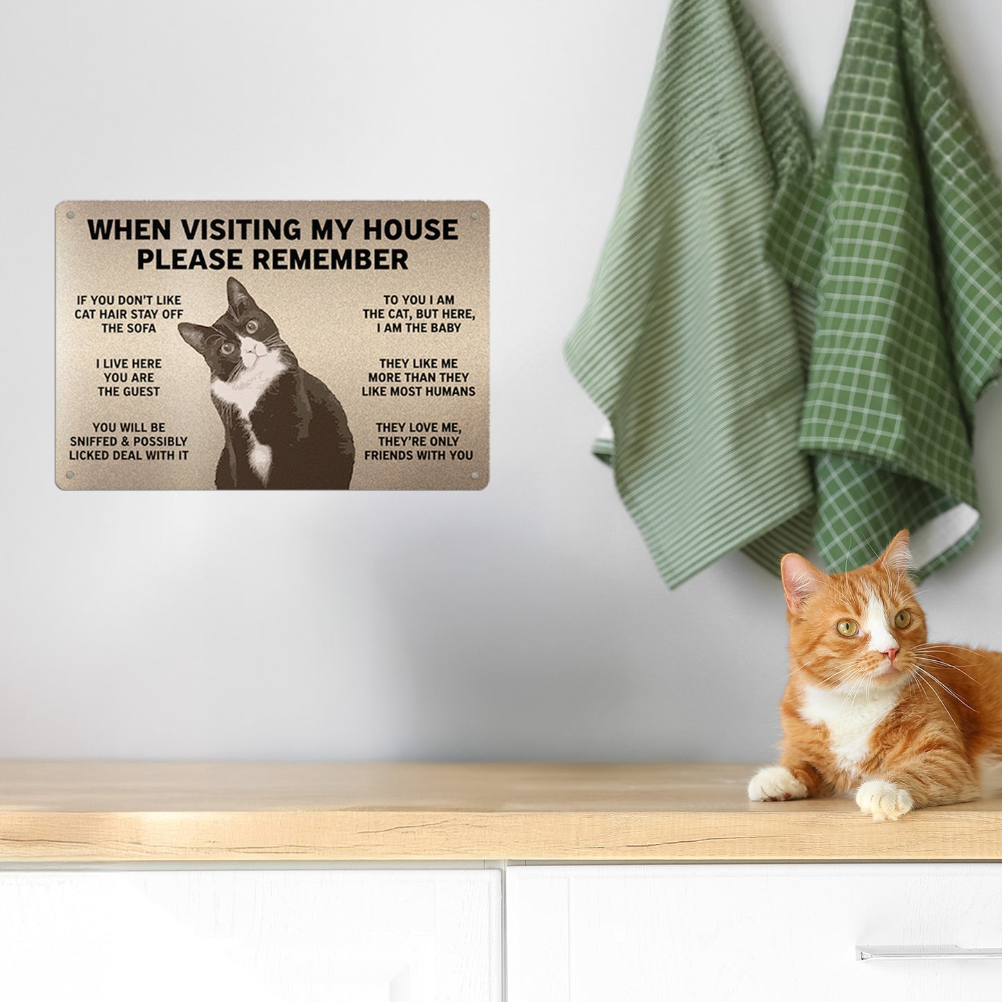 12 x 8in Aluminum Sign: Cat Lover House Rules Home Decor Art