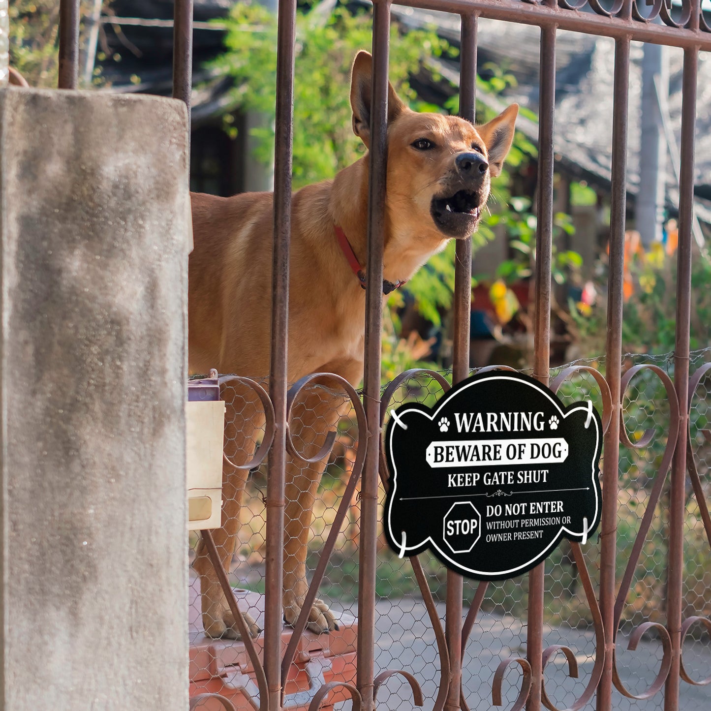 10 x 7in Yard Sign: Warning Beware of Dog Keep Gate Shut