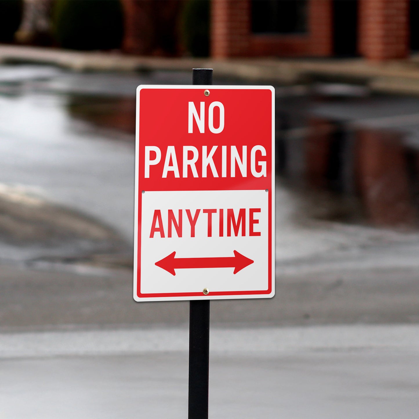 10 x 14in Street Sign: No Parking Anytime