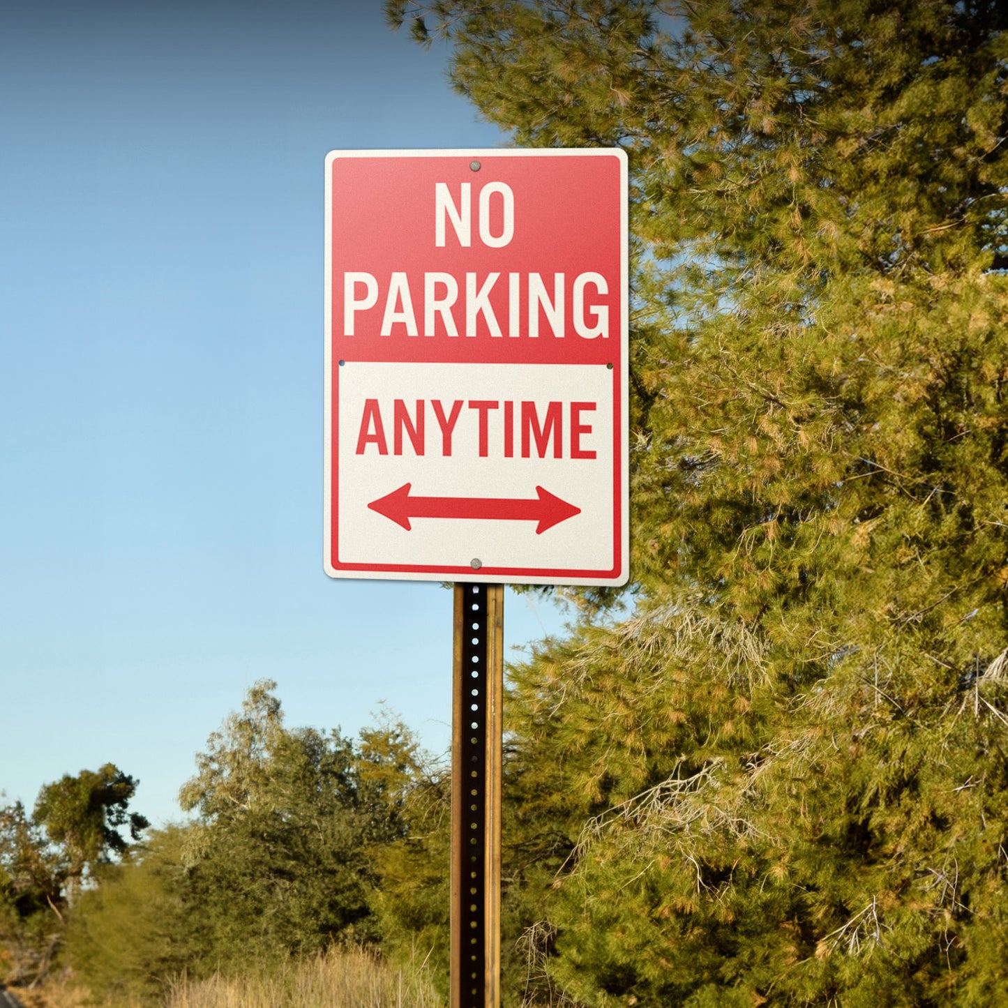 10 x 14in Street Sign: No Parking Anytime