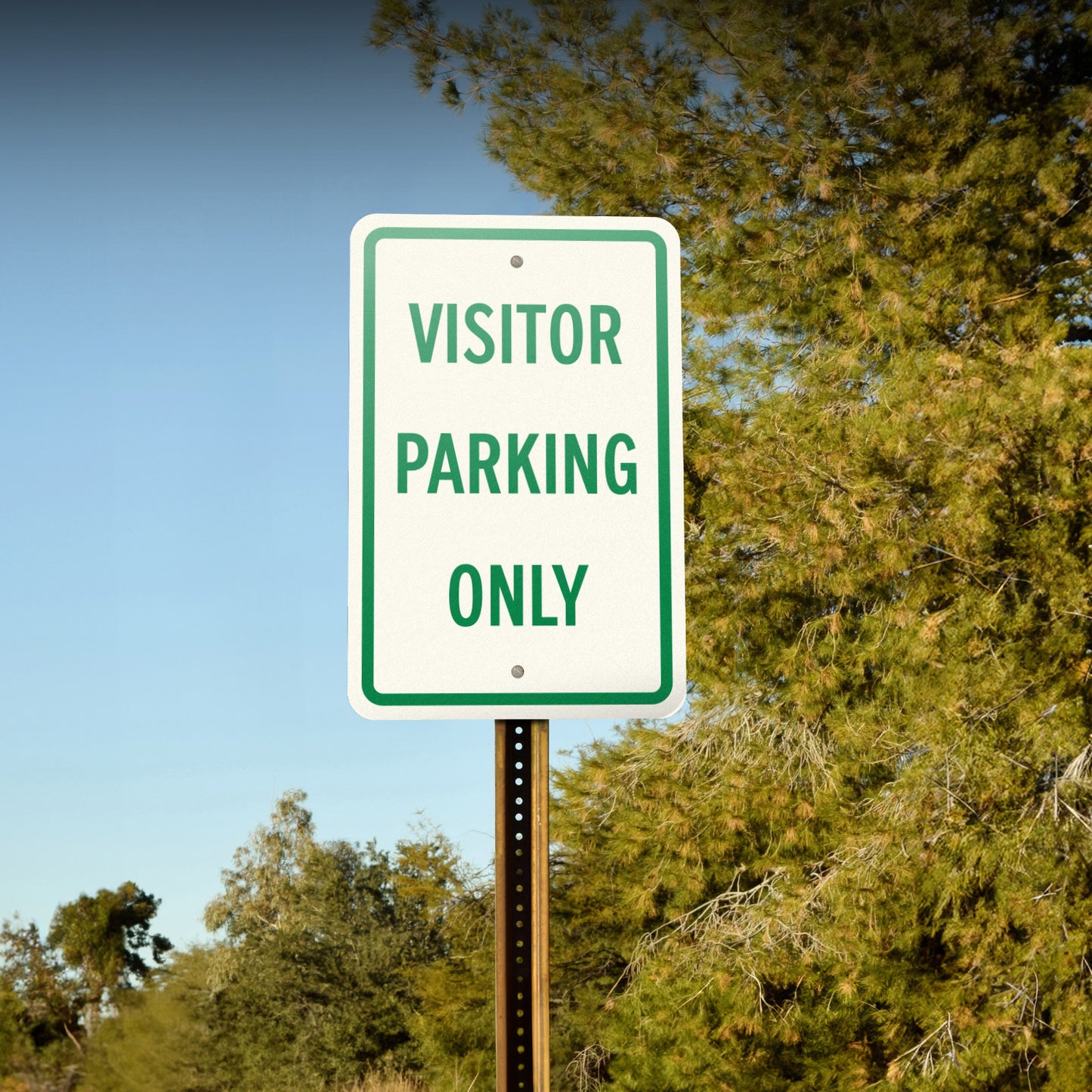 12 x 18in Aluminum Sign: Visitor Parking Only